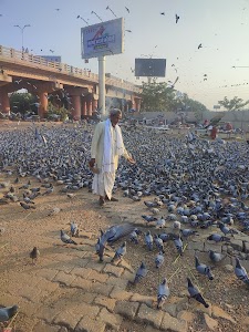 GT Road
