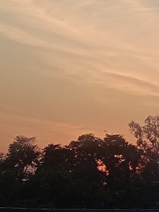 Gohana - Panipat Road