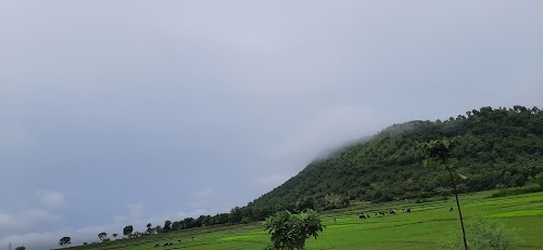 Laxmipur-Jinhara-Dhamna-Jhajha Road
