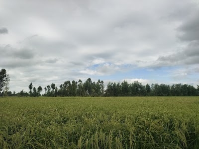 Aliganj Gaini Road