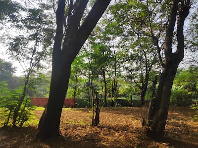 Juinagar Station Road