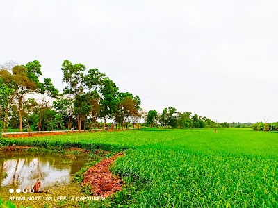 Nepalgunge Road