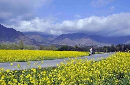 Pulwama-Nowgam Road