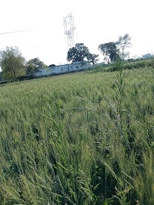 Prayagraj - Varanasi Road