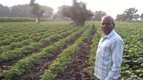 Jambusar - Bharuch Road