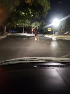 Sector 16 Road