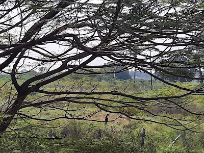 Hyderabad - Suryapet Highway