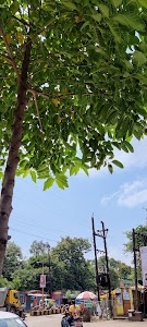 Kamla College Road