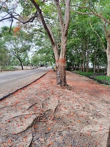 Deoria Bypass Road