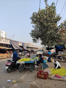 Rajendra Nagar Over Bridge