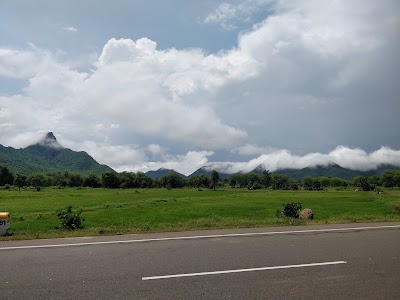 Raipur - Bhawanipatna Highway