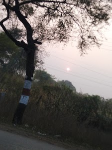 Dhamdha Road
