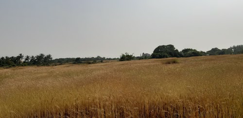 Kolhapur - Gaganbavda - kankavli Road