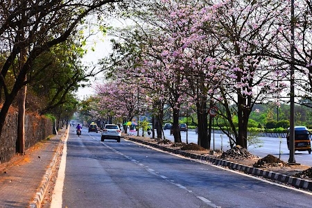 Eastern Express Highway