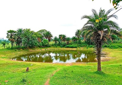 Bankura - Beliator - Sonamukhi - Khandaghosh - Nischintapur Road