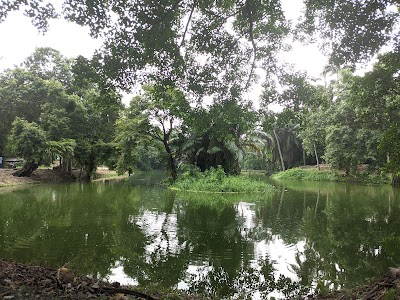 Botanical Garden Road