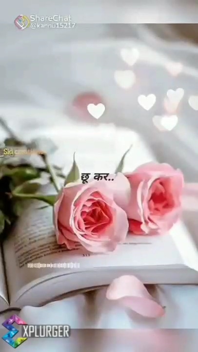 Post 0
