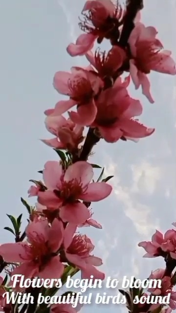 Post 0