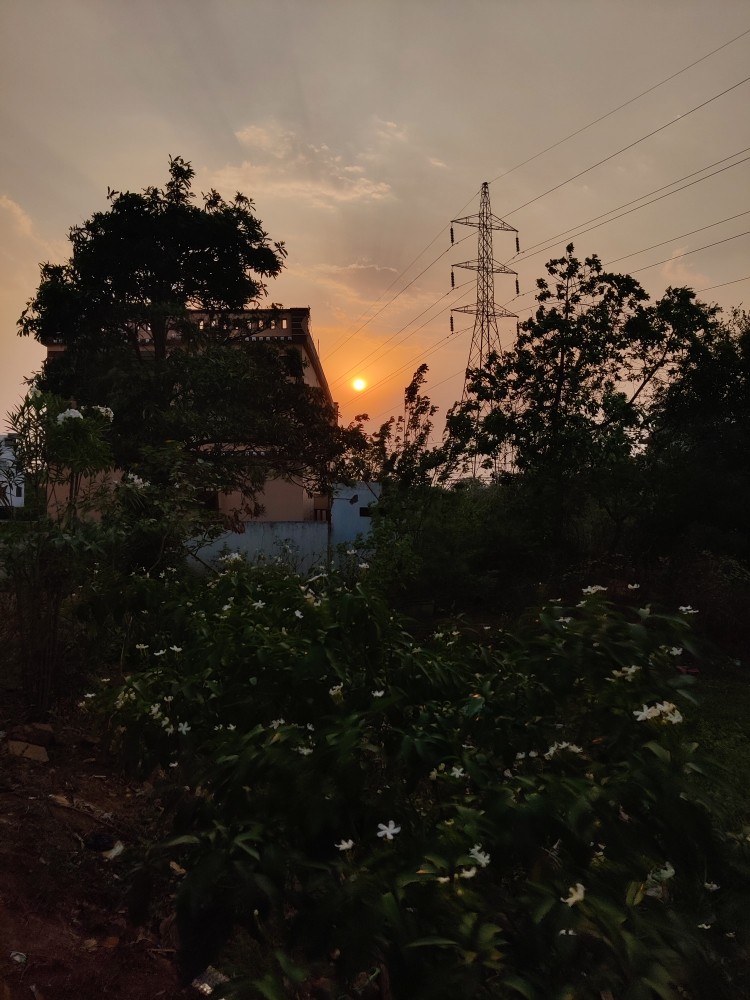 Post media