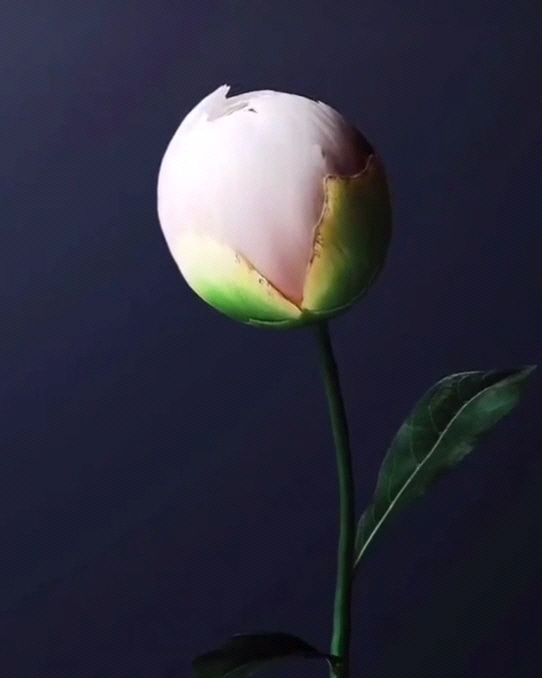 Post 0
