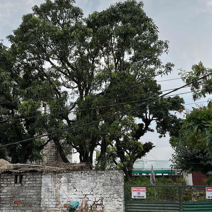Post 0