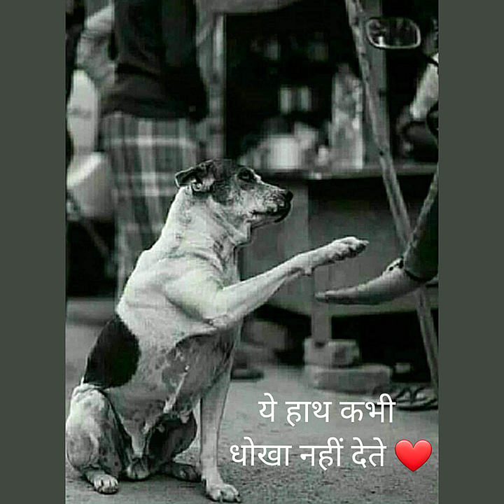 Post 0