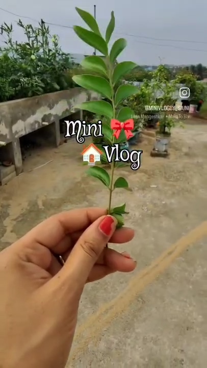 Post 0
