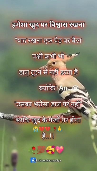 Post 0