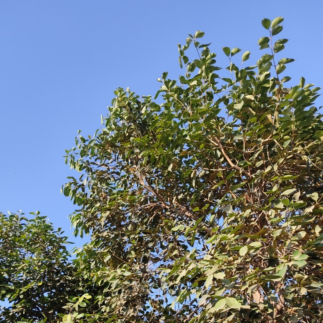 AJ Explore AJ Explore