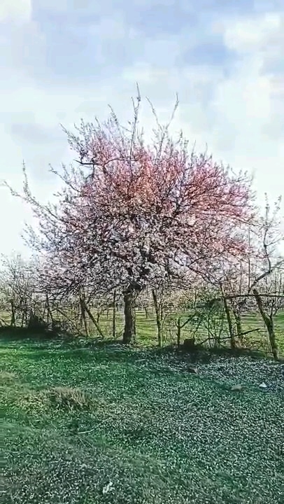 Post 0