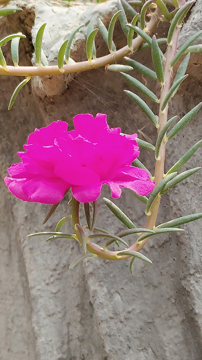 Post 0