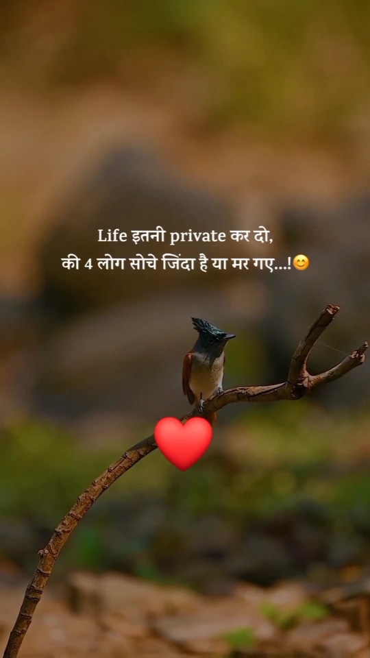 Post 0
