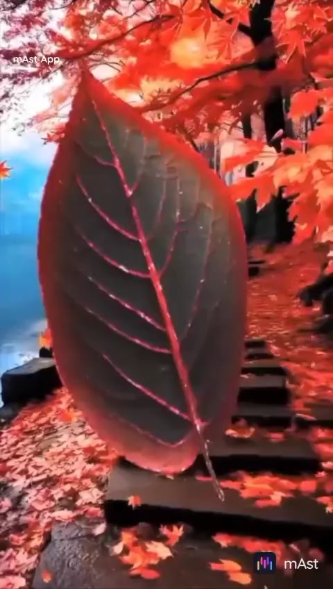 Post 0