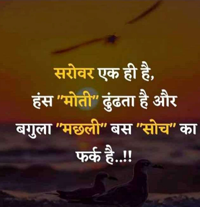 Post 0