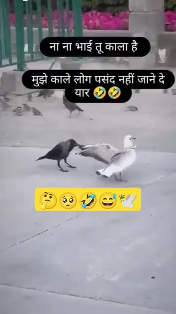 Post 0