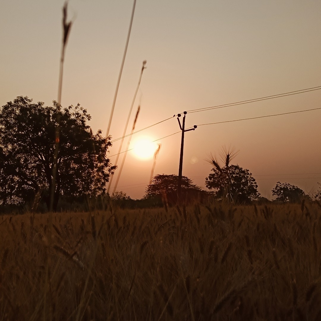 Lifestyle Love Lifestyle Love