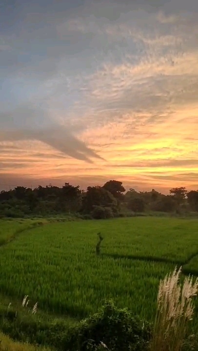 Post 0