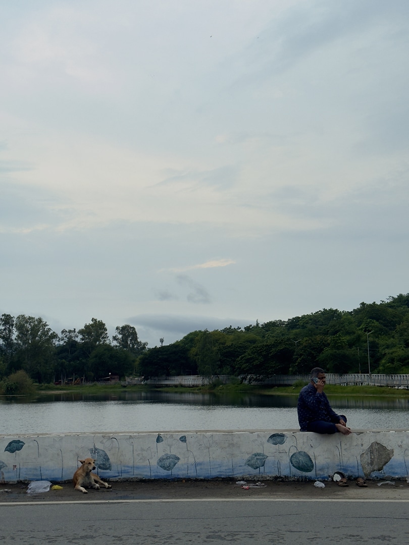Post 5