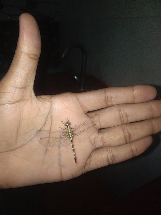 Post 0