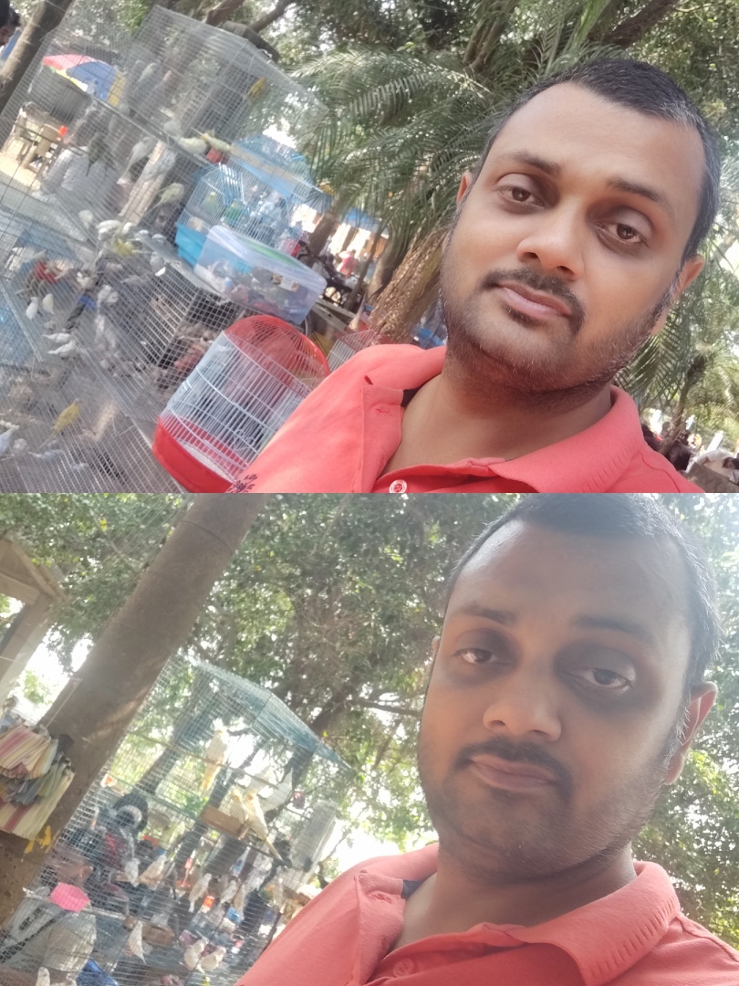 Post media