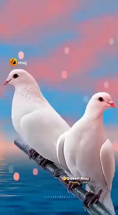 Post 0