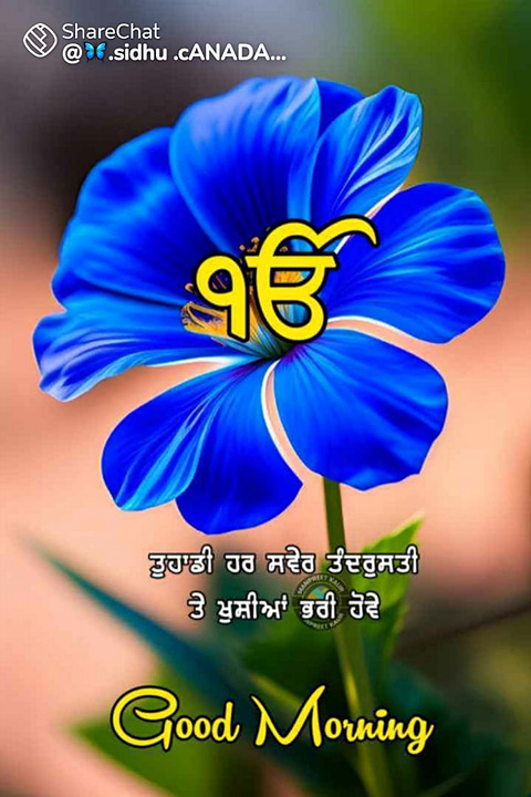 Post 1