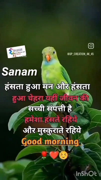 Post 6