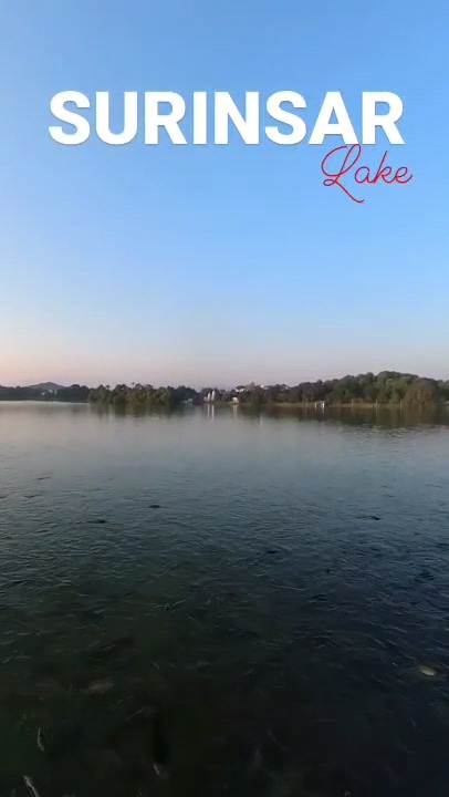 Post 6
