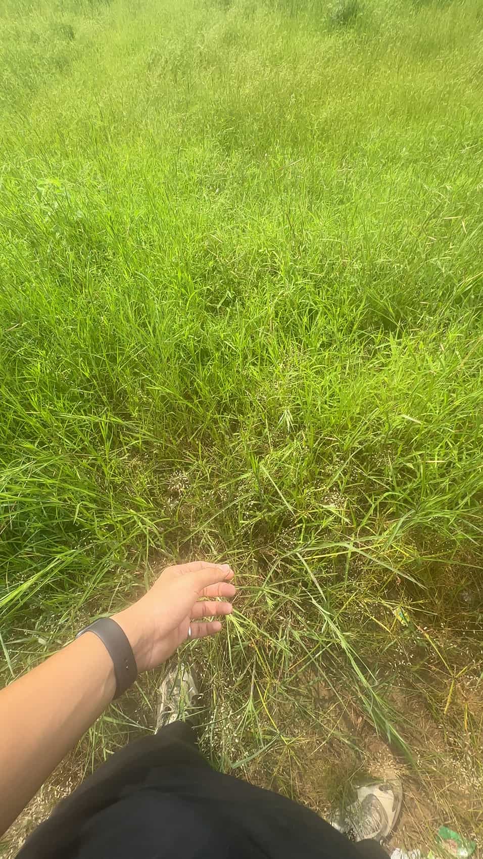 Post 1